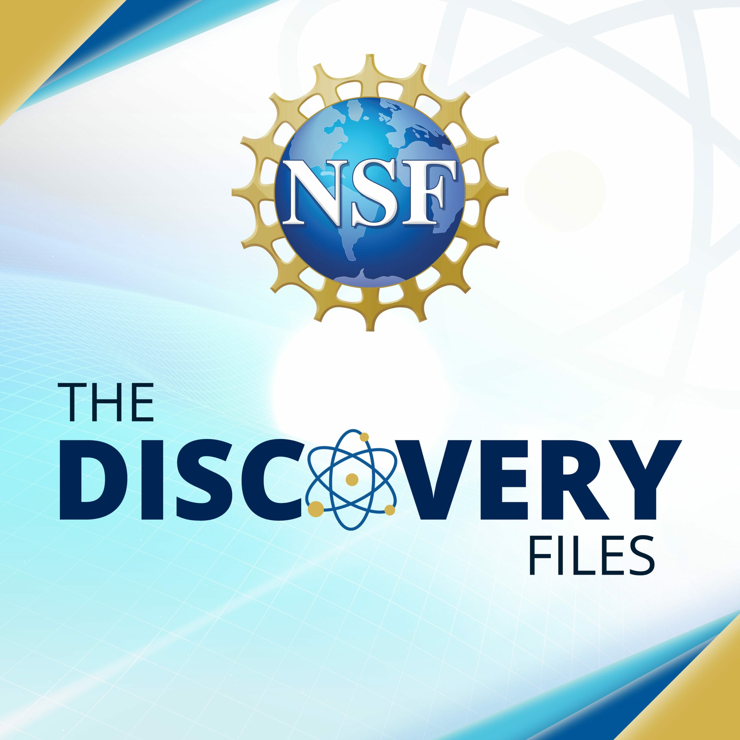 NSF DIscovery Files Logo