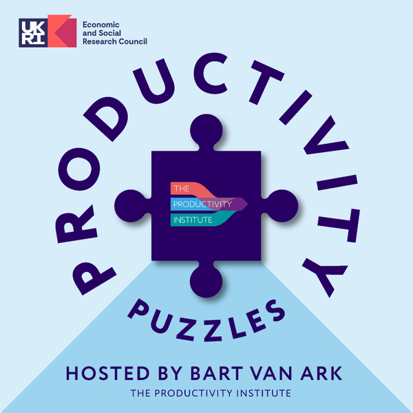 Productivity Puzzles logo