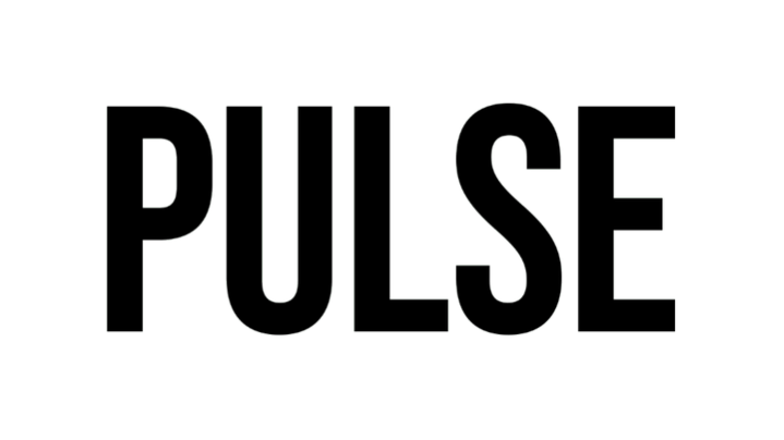 Pulse News Korea Logo 2024